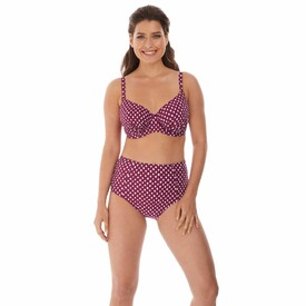 Plavky spodní díl FANTASIE SWIM SANTA MONICA HIGH RISE BRIEF GARNET