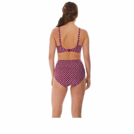 Plavky spodní díl FANTASIE SWIM SANTA MONICA HIGH RISE BRIEF GARNET