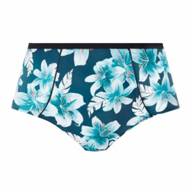 Plavky spodní díl ELOMI SWIM ISLAND LILY CLASSIC BRIEF PETROL