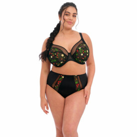 Podprsenka ELOMI SAMIRA UW PLUNGE BRA BLACK