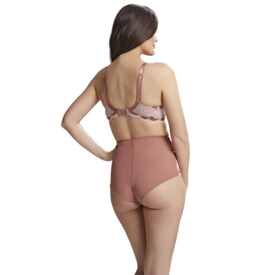 Kalhotky PANACHE CLARA HIGH WAIST BRIEF SIENNA