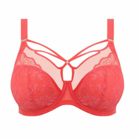 EL8080CYN Podprsenka ELOMI BRIANNA UW PLUNGE BRA CAYENNE
