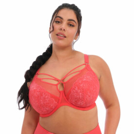EL8080CYN Podprsenka ELOMI BRIANNA UW PLUNGE BRA CAYENNE