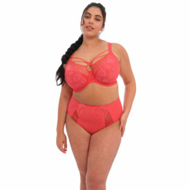 EL8085CYN Kalhotky ELOMI BRIANNA FULL BRIEF CAYENNE