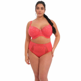 EL8081CYN Podprsenka ELOMI BRIANNA UW PADDED HALF CUP BRA CAYENNE