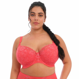 EL8081CYN Podprsenka ELOMI BRIANNA UW PADDED HALF CUP BRA CAYENNE