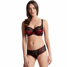 PA7253RNR Kalhotky PANACHE CLARA BRIEF RUBY NOIR