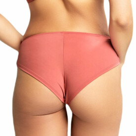 PA10342GRE Kalhotky PANACHE ROCHA BRIEF GARNET ROSE