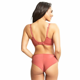 PA10342GRE Kalhotky PANACHE ROCHA BRIEF GARNET ROSE