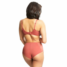 PA10344GRE Kalhotky PANACHE ROCHA DEEP BRIEF GARNET ROSE