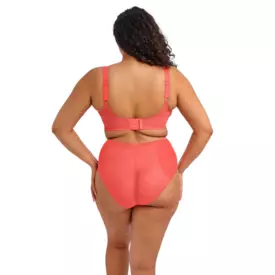 EL8900SUT_ELOMI MATILDA UW PLUNGE BRA SUNSET