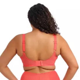 EL8900SUT_ELOMI MATILDA UW PLUNGE BRA SUNSET