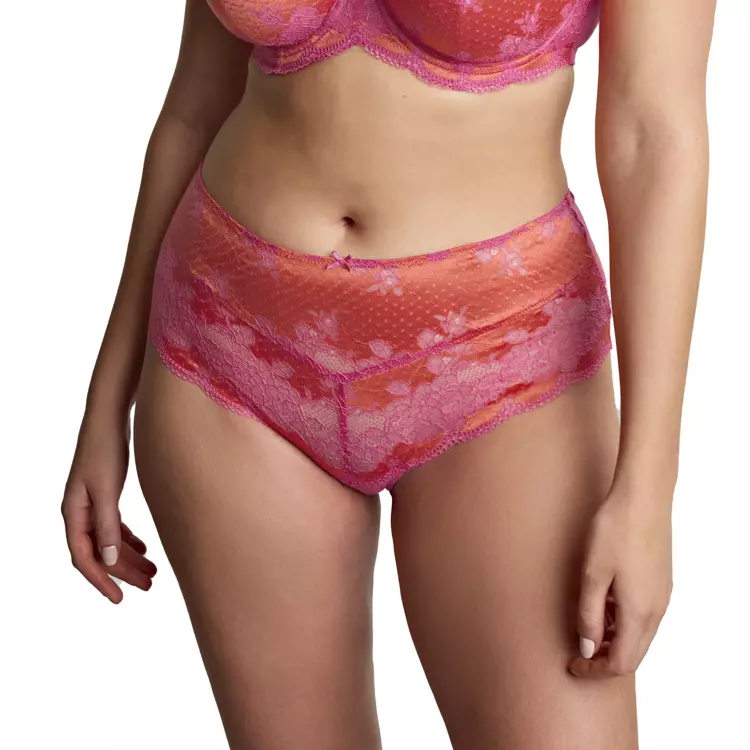 PA7258PPA_PANACHE CLARA DEEP BRIEF PINK PAPAYA