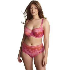 PA7258PPA_PANACHE CLARA DEEP BRIEF PINK PAPAYA