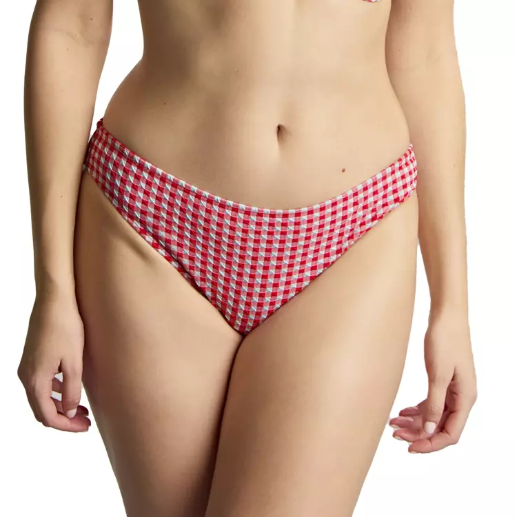 SW1726dRGM_PANACHE SWIM GINGHAM CLASSIC BRIEF RED GINGHAM