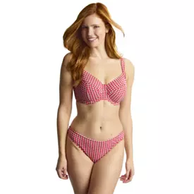 SW1726dRGM_PANACHE SWIM GINGHAM CLASSIC BRIEF RED GINGHAM