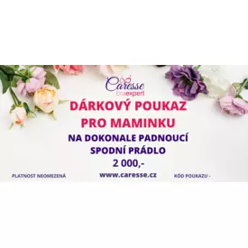 2000KČ POUKAZ NA PRÁDLO PRO MAMINKU