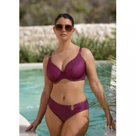 FS506102BER_FANTASIE SWIM PAROS COAST UW PLUNGE BIKINI TOP BERRY SHIMMER