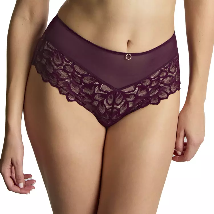 PA10764PLM_PANACHE ALLURE DEEP BRIEF PLUM